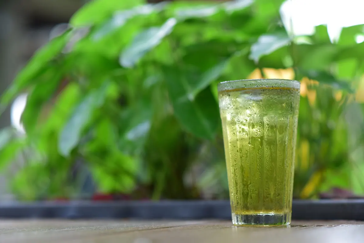 Cold Brew Tea at Home: Ratios, Timing, and Which Teas Work Best